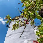 بيت للعطل Old Windmill In Village