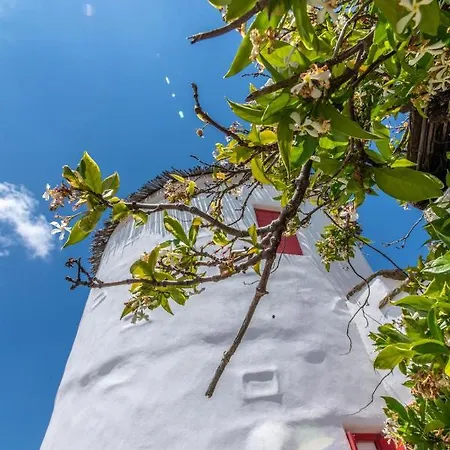 Vakantiehuis Old Windmill In Village
